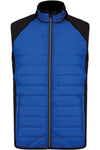 Dark Royal Blue/Black