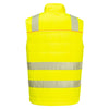 Amarelo/preto