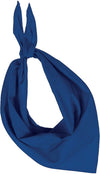 Bleu roi clair