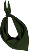 Fiesta - Lenço-Olive-Único-RAG-Tailors-Fardas-e-Uniformes-Vestuario-Pro