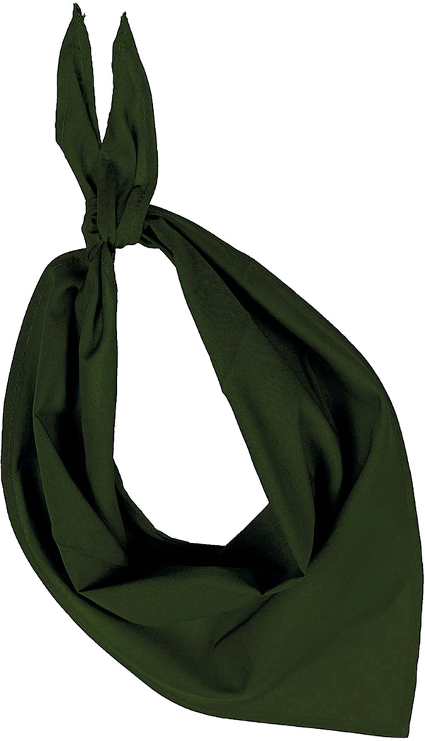 Fiesta - Lenço-Olive-Único-RAG-Tailors-Fardas-e-Uniformes-Vestuario-Pro