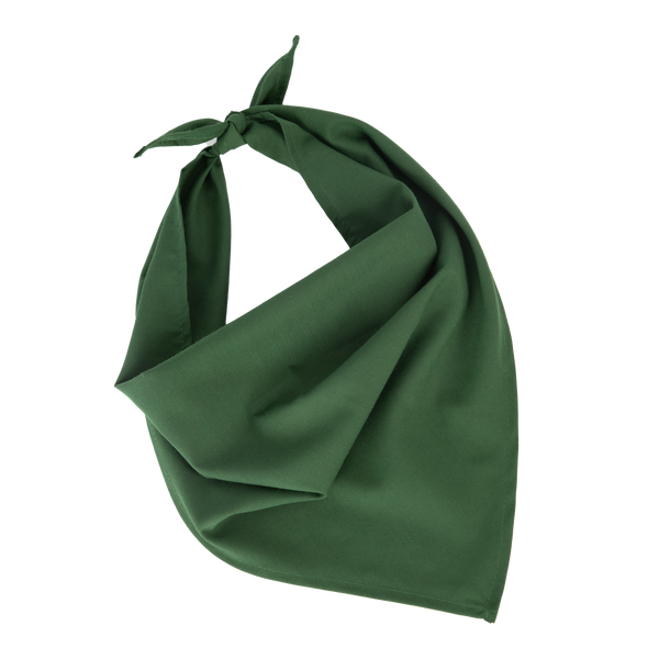 Fiesta - Lenço-Verde Prado-Único-RAG-Tailors-Fardas-e-Uniformes-Vestuario-Pro
