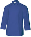Ultramarine Blue