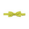 AMARILLO FLUOR - 20