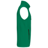 Verde Kelly