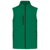 Verde Kelly