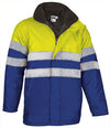 Fiore giallo/blu reale