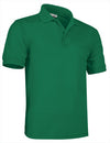 Verde Kelly