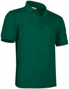 Verde Garrafa