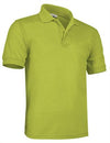 Verde Pistachio