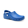 bleu vif