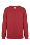 SweatShirt Infantil Alivor-Crimson - 415-1/2-RAG-Tailors-Fardas-e-Uniformes-Vestuario-Pro