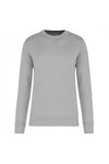 gris neige