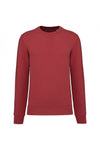 rouge terre cuite