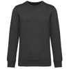 gris foncé
