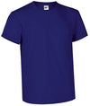 aubergine violette