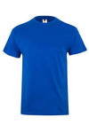 bleu royal