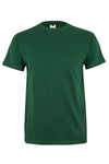 Vert Bouteille