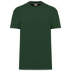 Verde foresta