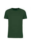 Verde foresta