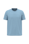 Cloudy Blue Heather